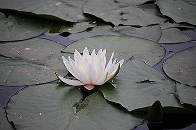 吉田：《最终幻想16》玩起来就像一部好莱坞大片